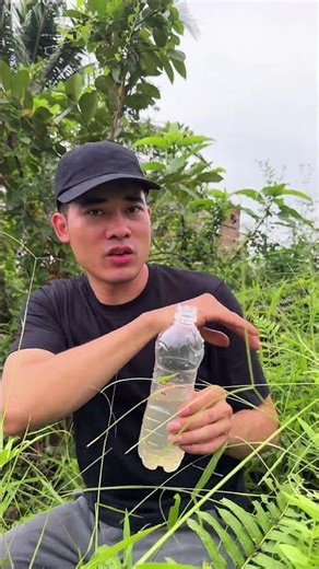 wild survival skills: Filter Muddy Water #bushcraft #outdoors #outdoorslife