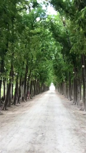 Best Places to visit in Rizal Province Philippines #ctph #travel #touristattraction #rizalprovince #Philippines #NatureEscape | CTPH TOUR