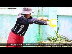 #𝗦𝗢𝗟𝗨𝗦𝗬𝗢𝗡 | Trichoderma Harzianum Use in Compost