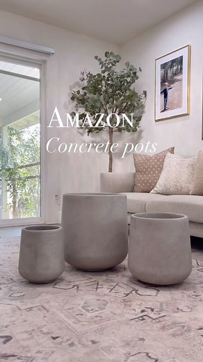 Comment link for concrete pots and olive trees. Pots look high end and are heavy and sturdy. Great for the empty spot after the Christmas trees are gone. | Fancy Fix Decor