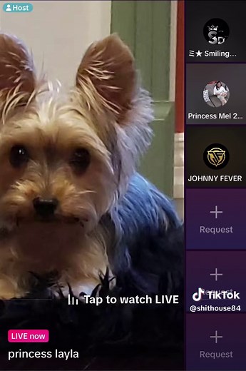 The Shithouse (@shithouse84)’s videos with original sound - The Shithouse