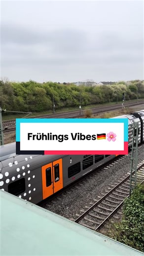 Spring in Germany: Not What You Expect! 😂🇩🇪