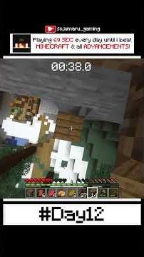 #day12 #minecraft #challenge