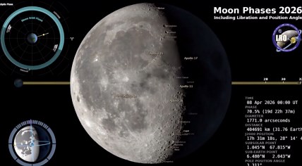 See the moon phases in 2026 - Full-year time-lapse