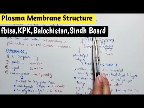 Plasma Membrane Structure And Functions | Fluid Mosaic Model | Easily Explain