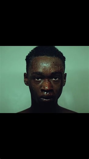 Moonlight 2016 Film Quotes Analysis