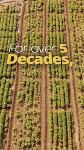 Every field visit, every experiment, and every seed tells ICARDA’s 50-year story . Let’s celebrate this journey together 📸 Share your favorite photo or memory in the field and tell us your story. Don't forget to tag #50YearsICARDA! | International Center for Agricultural Research in the Dry Areas - ICARDA