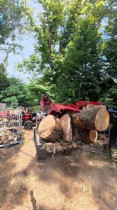 68K views · 446 reactions | Superior Grapple on MT100 Moving Wood #firewood #MiniSkidSteer Jersey Powersports | Lillysfarmandfirewood | Facebook
