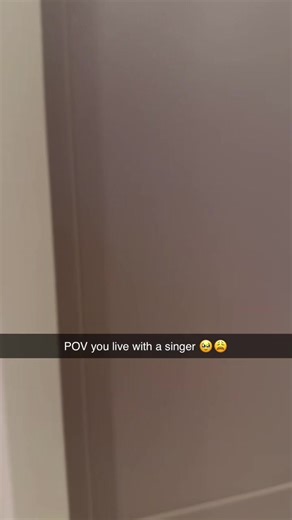 Amazing Chandelier Cover by SIA Fan