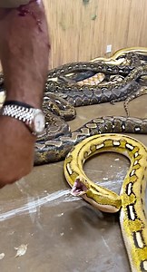 5.1M views · 93K reactions | Sometimes things don’t go as planned but...