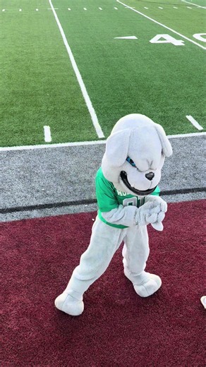 Mascot Dance Routine: How We 'Beat Up the Beat' Fist Pump