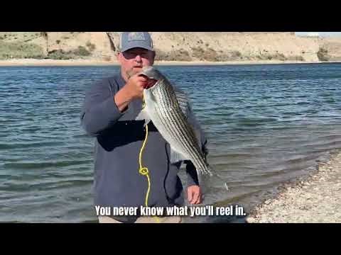 Spring Break Fishing on the Colorado River | Bullhead City, Arizona
