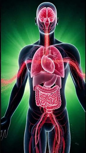 "Red Bull Effects on the Human Body | Benefits, Risks & Energy Process Explained"