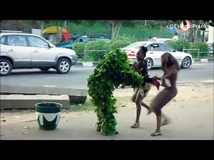 bushman prank new episodes