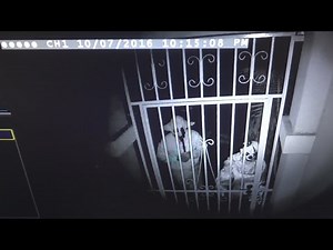 THIS CAN'T BE REAL... | FaZe Rug