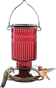 Nature's Way Hanging Glass Hummingbird Feeder for Outdoor Decor, 22 Ounce Capacity Nectar Feeder, 4 Easy to Clean Flexible Ports, Red