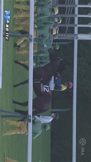 Tokyo Sports Hai Nisai Stakes GII (G2) 2021 Equinox #horse #japanracing #horseracing #umamusume
