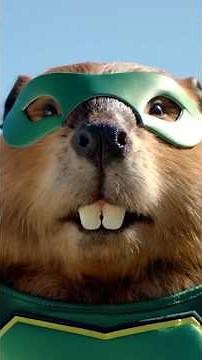 We give a *dam* about beavers 🦫Learn how scientists use Google Earth and AI to map their impact
