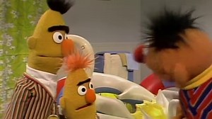 307K views · 16K reactions | Do you see the resemblance between Bert and his nephew? #OldSchoolSesame | Sesame Street | Facebook