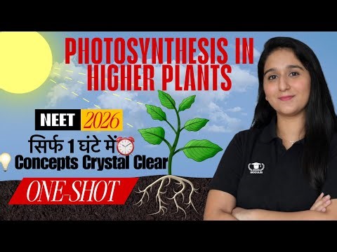 PHOTOSYNTHESIS IN HIGHER PLANTS in 1 hour | Full chapter Revision | NEET 2026