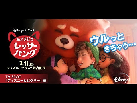 『私ときどきレッサーパンダ』｜TV SPOT 「ディズニー＆ピクサー」編｜Disney+ (ディズニープラス）