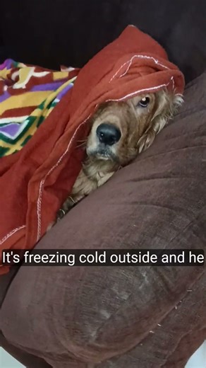 It's very cold in Mumbai.