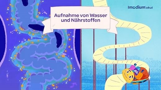 Imodium® akut lingual - Soforthilfe bei akutem Durchfall – Schmilzt sofort auf der Zunge - 12 Tabletten