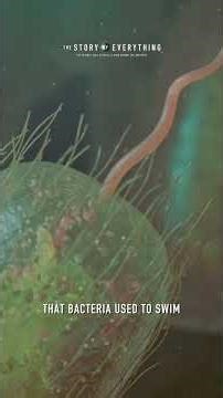 Design… or just chemistry?