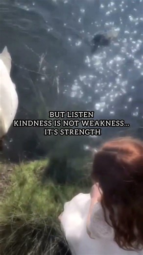Keep your heart pure no matter what#kindness #staykind #bekind #positivity