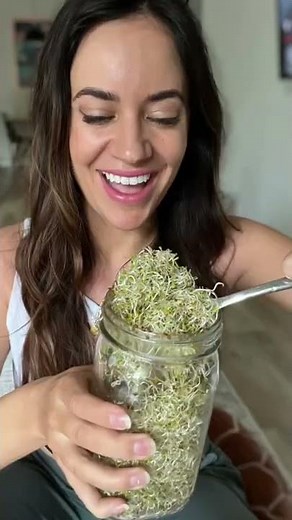 How To Grow Alfalfa Sprouts At Home #essycooks #veganrecipes