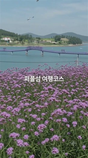 전남 신안 가볼만한곳 신안수국축제 도초도 퍼플섬 퍼플교 안좌도 천사대교
