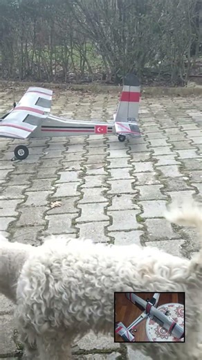 7 saniyelik ilk ve son uçuş videosu. 4 yaşındaki oğlumun çekebildiği kadar:) #plane #iha #uçak #rc