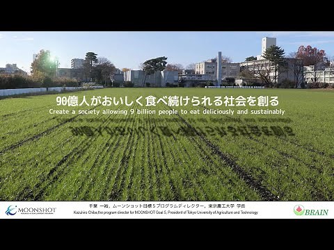 ムーンショット目標5を紹介します