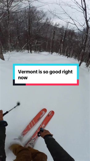 Skiing in Vermont: A Perfect Day on the Slopes