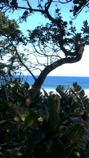 8.7K views · 36 reactions | “Ocean Sounds. Golden Sand. November...