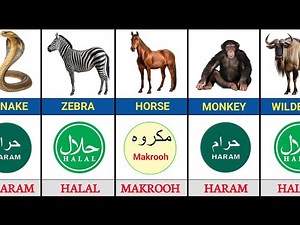 Halal and Haram Meat In Islam | A complete Guide to Permissible & Forbidden Animals