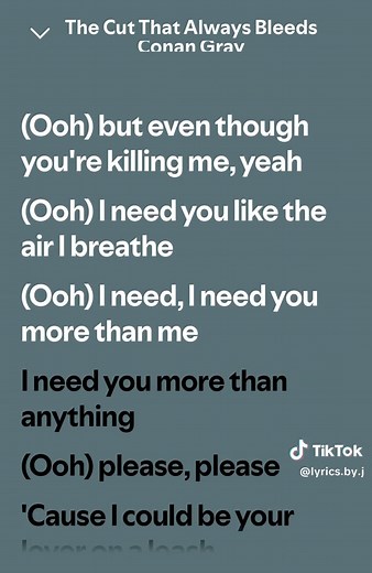 Emotional Lyrics of 'The Cut That Always Bleeds'
