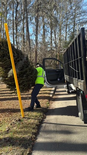 Live Christmas Tree pickup! Set your live Christmas tree with no decor for curbside collection this month. 🌲