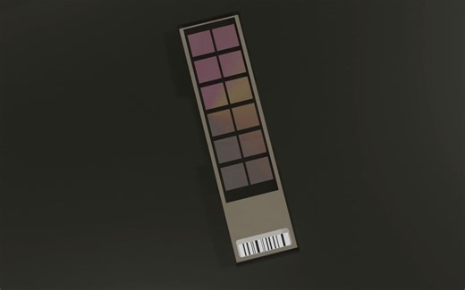 【中译配音】DNA微阵列简介 DNA Microarray