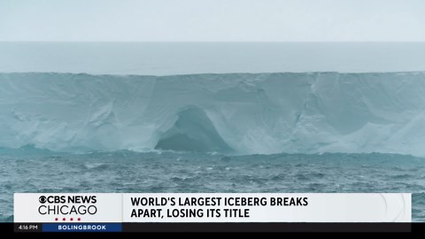 World's biggest iceberg breaks up after 40 years