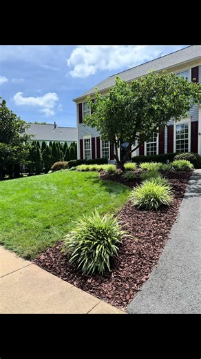 Mulch refresh before spring. Fresh mulch installation to clean up flower beds and prep the yard for the season. Rubio Exterior Services serving Northern Virginia — Manassas, Fairfax, Woodbridge, Springfield, and Burke. #MulchRefresh #MulchInstallation #MulchBeforeSpring #SpringYardPrep #Landscaping