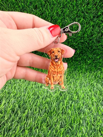 Fox Red Lab Labrador Retriever Dog Keychain - Etsy