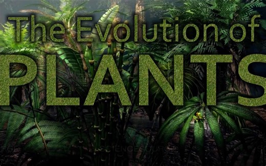 The Evolution of Plants (植物的演化)