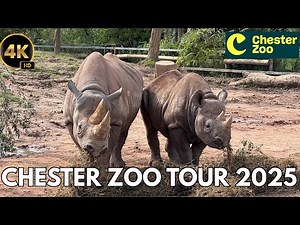 Chester Zoo Adventure 2025 in 4K | Chester Zoo Vlog 2025 with Narration - A Fantastic Family Day Out