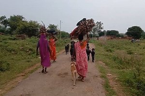 85K views · 501 reactions | #GroundUpStories | In Chitrakoot district, Uttar Pradesh halting of trains due to the lockdown has resulted in Adivasi women losing their daily income. Watch this video by Khabar Lahariya to know more about it. | India Development Review | Facebook