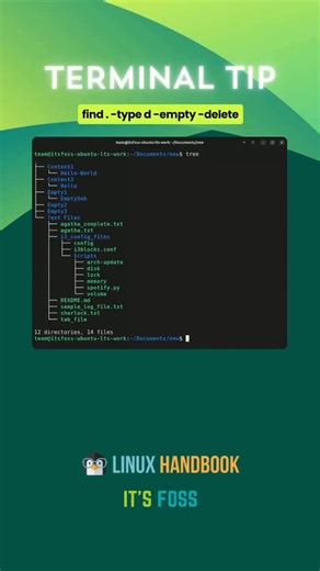 Snap and empty directories are cleared ✅ find . : search in current directory -type d : look for directories -empty : find only empty directories -delete : delete empty directories | It's FOSS