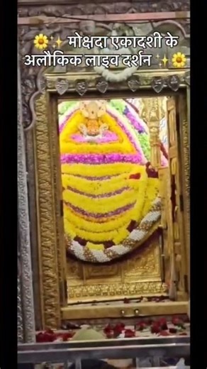 live darshan #shyam #shreekhatushyamdelhidham #shyamdarshan #shreekhatushyam #sayambaba
