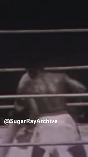 SugarRayArchive on TikTok