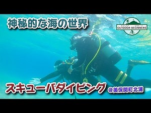 【超初心者】スキューバダイビングで神秘的な海の世界を満喫＠美保関町北浦