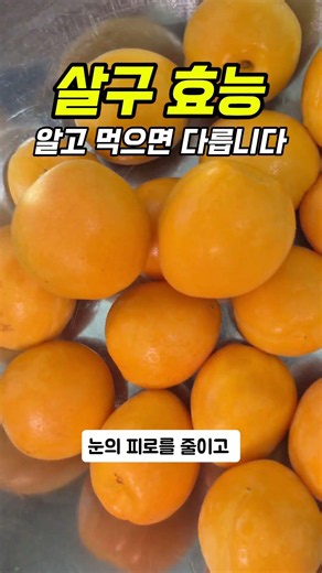 살구효능 4가지#살구 #살구효능 #건강정보 #눈건강 #피부건강 #장건강 #여름과일 #건강쇼츠 #건강한음식